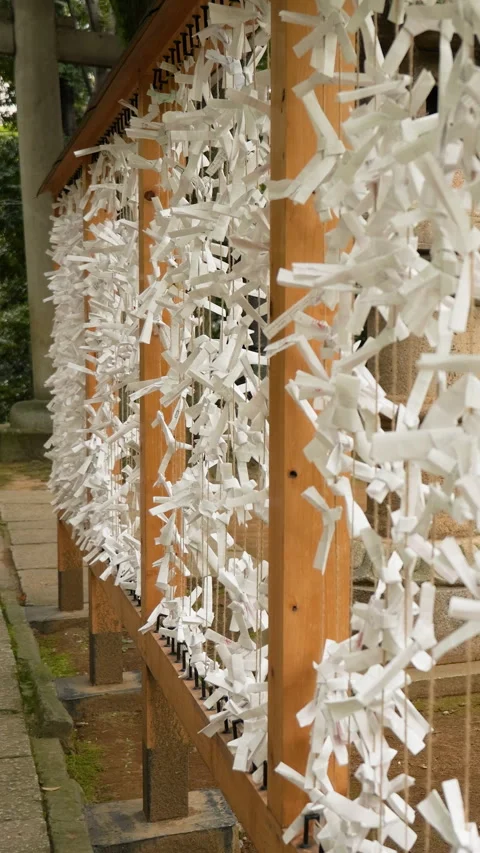 Fortune Paper Slips Swaying in Wind at Shrine vertical video Видео 344786060