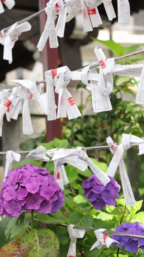 Fortune Papers Swaying Gently in Breeze at Shrine, Vertical Video Видео 336786455