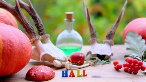 Fortune-teller's table, witches with colored letters, pumpkins lie, animal sk Stock Footage 141505730