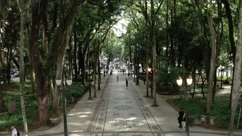 Forward Aerial Along Rua XV de Novembro Promenade, Curitiba Stock Footage 340535803