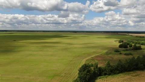 Forward aerial flight above fields and forest edge Video stock 325155279