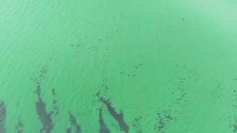 Forward aerial flight over turquoise Baltic waters Stock Footage 341490198