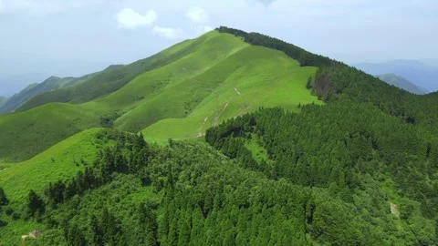 Forward Aerial Over Alpine Grassland and Forest Wugong Mountain China Stock Footage 330286331