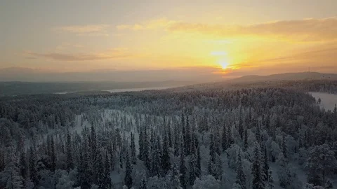 Forward aerial over snowy trees to the golden sunset Stock Footage 101374132
