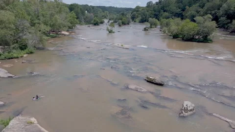 Forward aerial track of river and Canada geese 스톡 동영상 246772891