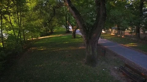 Forward aerial view between trees Stock Footage 70759335