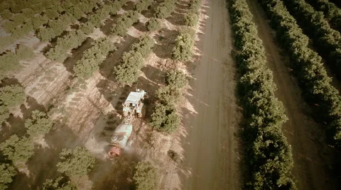 Forward aerial view of an orange trees field. Seville, Spain. Stock Footage 40548642