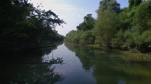 Forward aerial view over the river Stock Footage 70737119