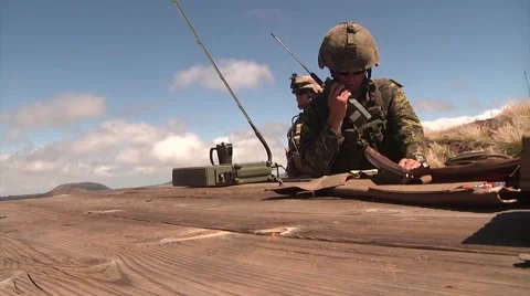 Forward air controllers FAC Coalition Fire Support Exercise Stock Footage 41730607