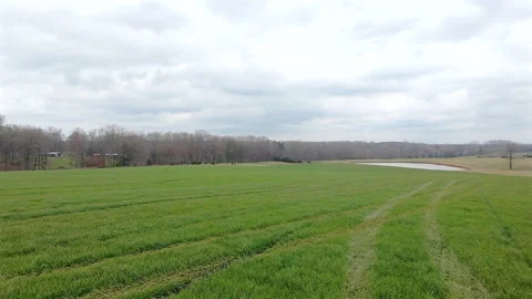 Forward And Reverse Flight Over Green Pasture On A Cloudy Day Stock Footage 304760113