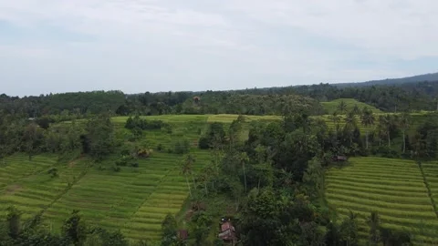 Forward ascend tilt down Stockbeeldmateriaal 329866836