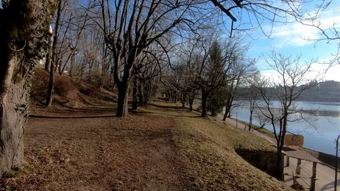 Forward dolly moving on pathway between old trees Stock Footage 123167409