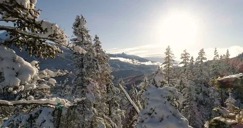 Forward Dolly Shot Through Snow Covered Trees Of Winter Landscape At Sunset 스톡 동영상 100477365