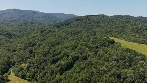 Forward drone flight above a green forest canopy in Bulgaria Stock Footage 344629891