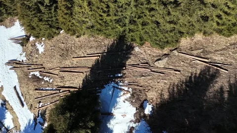 Forward Drone Flight Above Pine Forest Revealing Snowy Alpine Village in Stock Footage 332164896