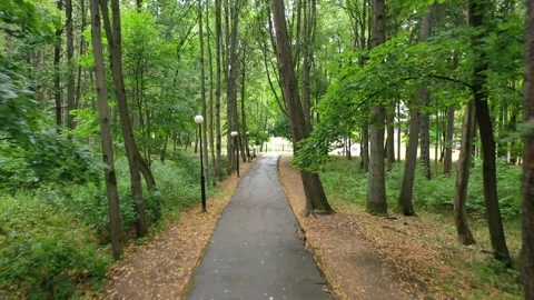 Forward drone flight along forest park path Vidéo 325659068
