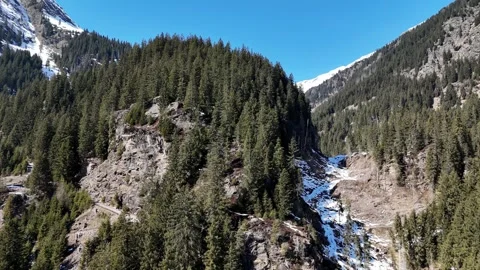 Forward Drone Flight Into Alpine Pine Forest Valley with Snowy Mountains Vídeo Stock 337088562