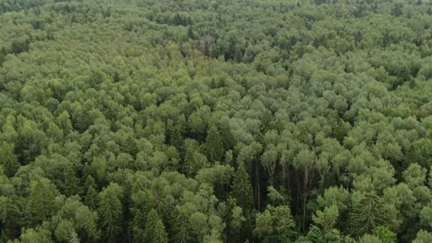 Forward drone flight with downward camera tilt Stockbeeldmateriaal 323576070