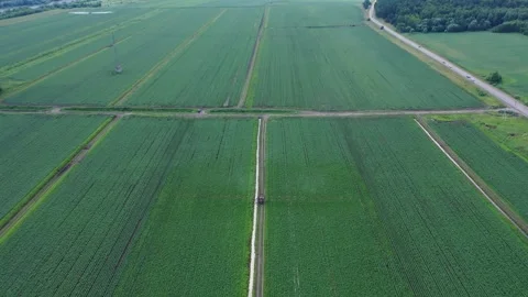 Forward drone flight with downward tilt over farmland Stock Footage 329212502