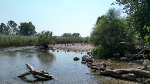 Forward Drone Flight Over Azmak River Flora - Akyaka Turkey Stock Footage 329382313