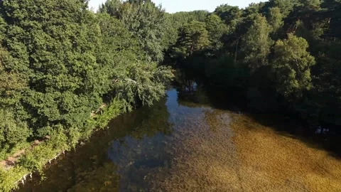 Forward Drone Flight Over Clear River Through Dense Green Woodland Stock Footage 341796610