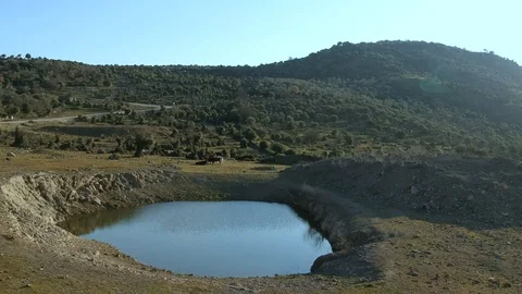 Forward drone flight over cows and a crater lake in nature Stock Footage 124432085