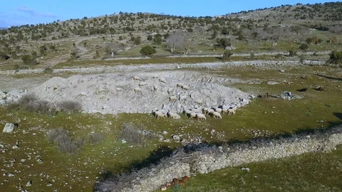 Forward drone flight over a crater lake and sheeps graing at nature Stock Footage 124434753