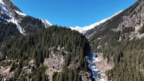 Forward Drone Flight Over Dense Green Pine Forest in South Tyrol, Italia Vídeo Stock 337016025