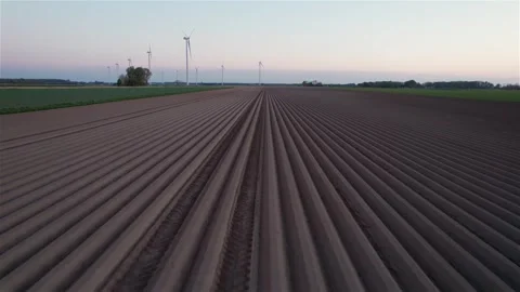 Forward Drone Flight Over Dutch Field at Sunset Stock Footage 275156489