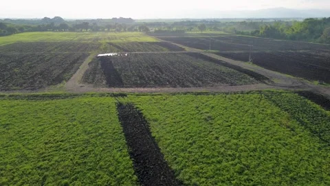Forward drone flight over fertile plowed farmland prepared for planting Stock Footage 307336159