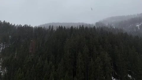 Forward Drone Flight Over Foggy Pine Forest with Overcast Sky, South Tyr Vídeo Stock 336086122