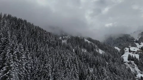 Forward Drone Flight Over Forest and Snow-Capped Peaks in Val Ridanna, S Vídeo Stock 336707033