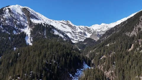 Forward Drone Flight Over Forest and Snow-Capped Peaks in Val Ridanna, S Vídeo Stock 336775802