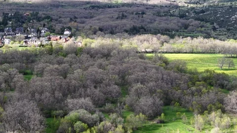 Forward drone flight over oak forest toward Navacerrada village, Spain Stock Footage 308370491