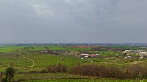Forward drone flight over pergola vineyards revealing Piedmont countryside Vidéo 330457784