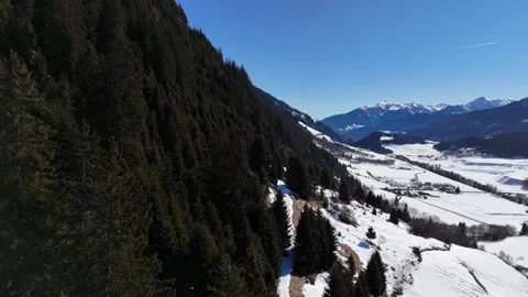 Forward Drone Flight Over Pine Forest Revealing Snowy Alpine Village in Stock Footage 331802074