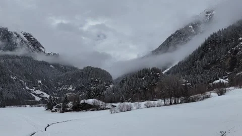 Forward Drone Flight Over Pine Forest Surrounded by Snow-Capped Mountain Vídeo Stock 336427221
