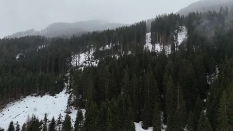 Forward Drone Flight Over Snow-Covered Forest Into Foggy Overcast Sky, S Stock Footage 336187552