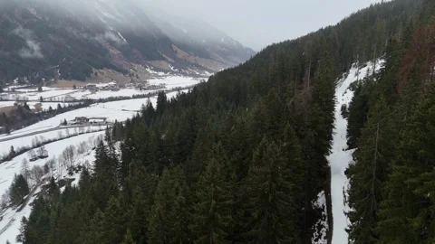 Forward Drone Flight Over Snowy Alpine Forest in Foggy Mist, South Tyrol 库存影片 336008352