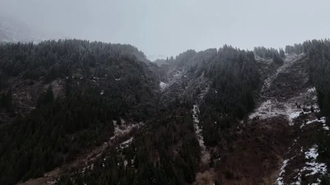 Forward Drone Flight Over Snowy Foggy Forest Toward Snow-Capped Alps, So Vídeo Stock 336230691
