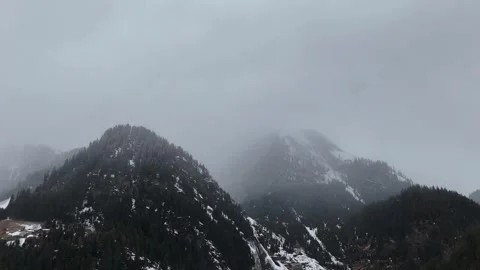 Forward Drone Flight Over Snowy Pine Forest Into Fog with Alpine Mountai Vídeo Stock 336230711