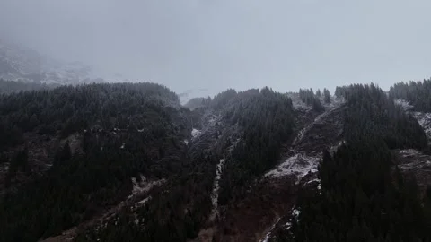 Forward Drone Flight Over Snowy Pine Forest Into Dense Fog with Alpine Mountains Vídeo Stock 336297759