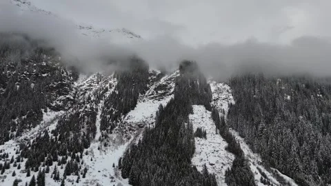 Forward Drone Flight Over Snowy Pine Forest Toward Foggy Alpine Mountain 库存影片 336358839