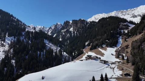 Forward Drone Flight Over Snowy and Forested Mountains in South Tyrol, I 库存影片 336887314