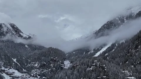 Forward Drone Flight Through Snowy Forest and Mountain Fog in South Tyro Stock Footage 336427209