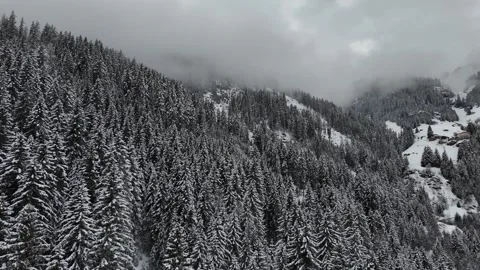 Forward Drone Flight Through Snowy Forest Toward Low Clouds in South Tyr Vídeo Stock 336707037