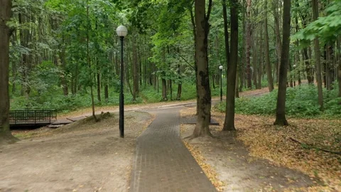 Forward drone flight through wooded park Stock Footage 325660486