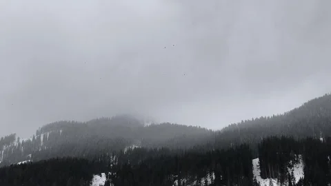 Forward Drone Flight Toward Distant Foggy Forest Under Overcast Sky, Sou Vídeo Stock 336009302