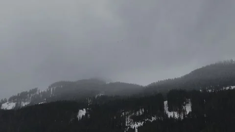 Forward Drone Flight Toward Misty Pine Forest in Overcast Foggy Weather, Vídeo Stock 335838412