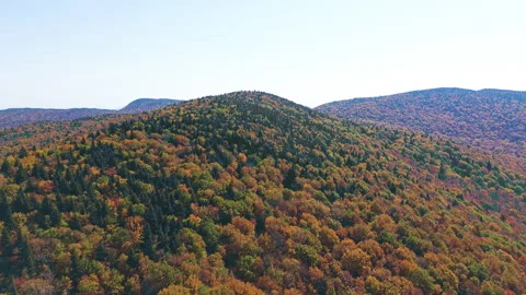 Forward drone flight toward Mount Sutton in early autumn colors Stock Footage 318548739